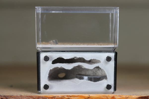 Mini Hearth, Bifurcated (Black 3950)