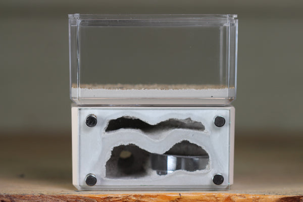 Mini Hearth, Bifurcated (Bone 3956)