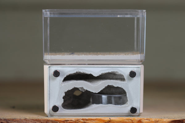 Mini Hearth, Bifurcated (Bone 3957)
