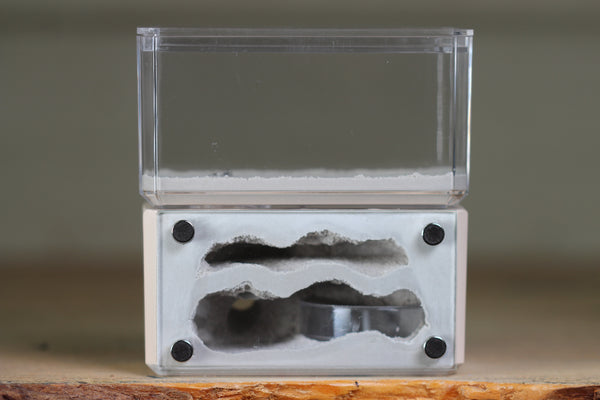Mini Hearth, Bifurcated (Bone 3958)
