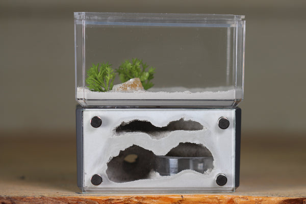 Mini Hearth, Bifurcated (Grey 3959)