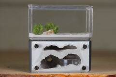 Mini Hearth, Bifurcated (Grey 3959)