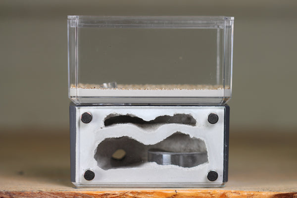 Mini Hearth, Bifurcated (Grey 3961)