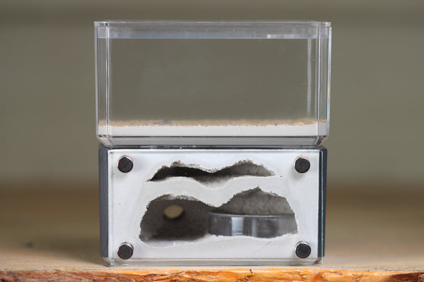 Mini Hearth, Bifurcated (Grey 3962)