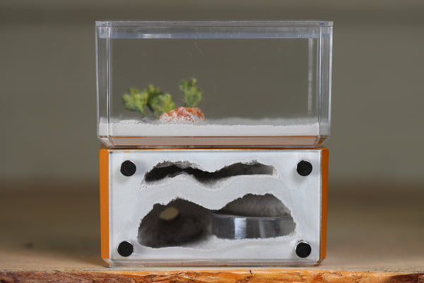 Mini Hearth, Bifurcated (Terra 3963)