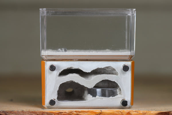 Mini Hearth, Bifurcated (Terra 3964)
