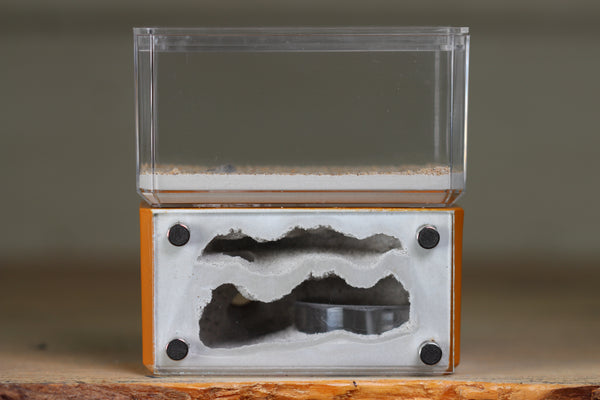 Mini Hearth, Bifurcated (Terra 3965)