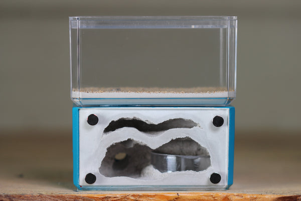 Mini Hearth, Bifurcated (Aqua Blue 3968)