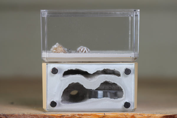 Mini Hearth, Bifurcated (Beige 3970)