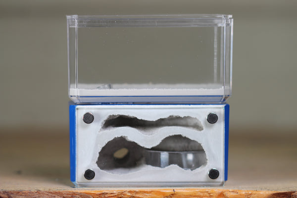 Mini Hearth, Bifurcated (Dark Blue 3971)