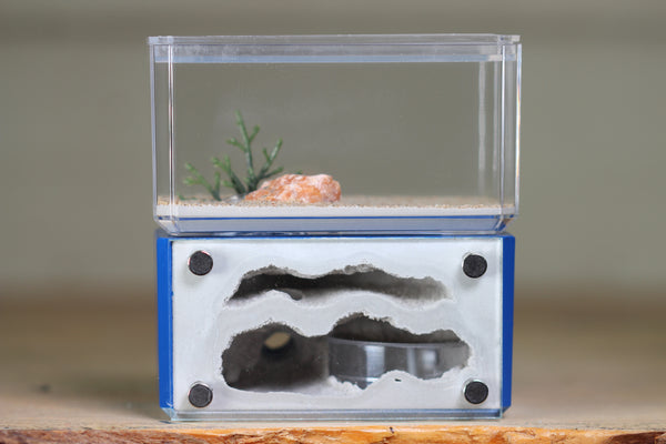 Mini Hearth, Bifurcated (Dark Blue 3972)