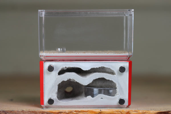 Mini Hearth, Bifurcated (Red 3973)