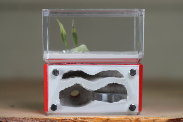 Mini Hearth, Bifurcated (Red 3974)