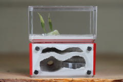 Mini Hearth, Bifurcated (Red 3974)