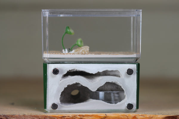 Mini Hearth, Bifurcated (Dark Green 3975)