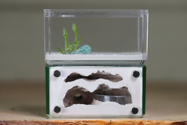 Mini Hearth, Bifurcated (Dark Green 3976)