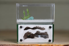 Mini Hearth, Bifurcated (Dark Green 3976)