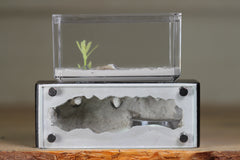 Mini Hearth XL (Black 4200)