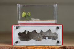 Mini Hearth XL (Red 4205)
