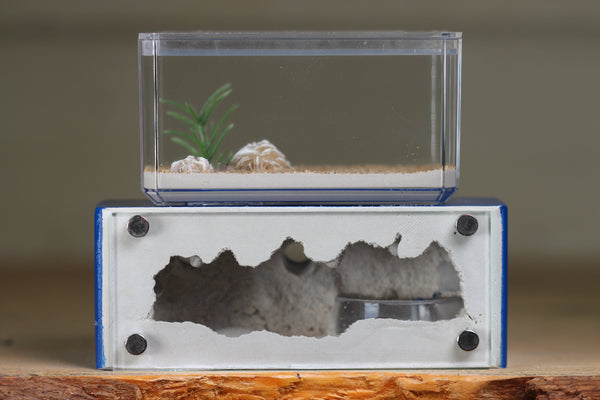 Mini Hearth XL (Dark Blue 4207)