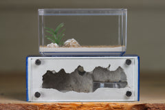 Mini Hearth XL (Dark Blue 4207)
