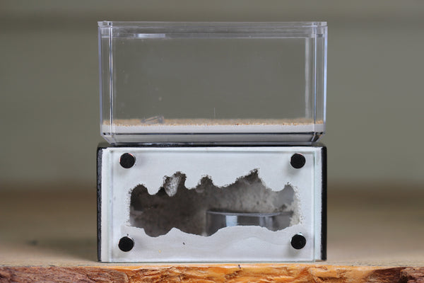 Mini Hearth (Black 1800)