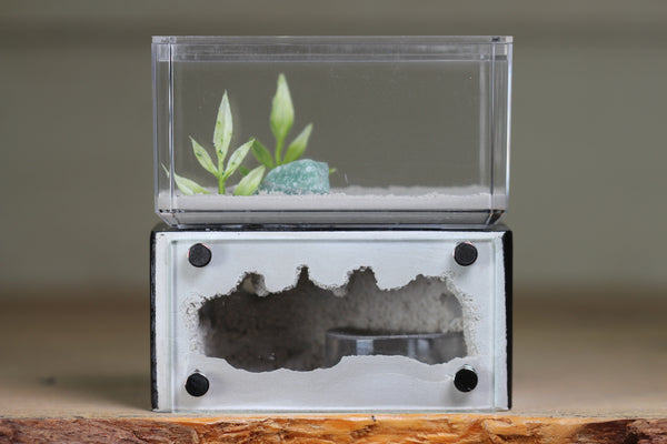 Mini Hearth (Black 1801)