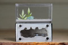 Mini Hearth (Black 1801)