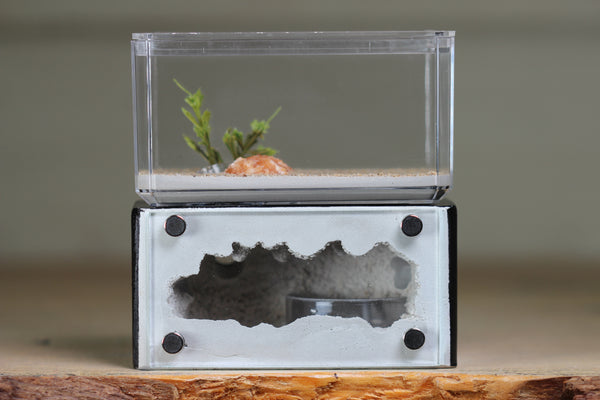 Mini Hearth (Black 1802)