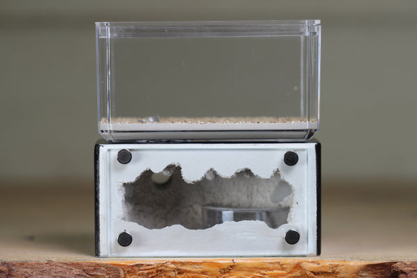 Mini Hearth (Black 1803)