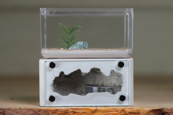 Mini Hearth (Bone 1807)