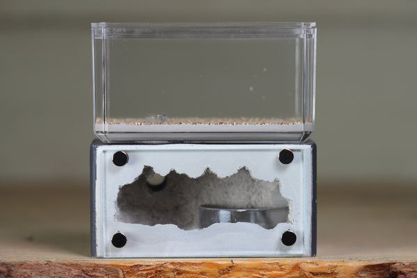 Mini Hearth (Grey 1809)