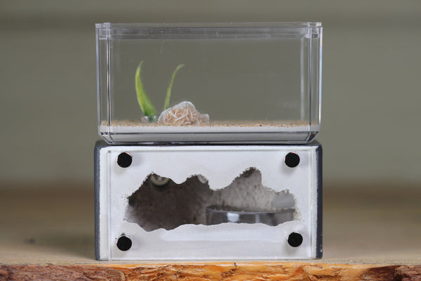 Mini Hearth (Grey 1813)