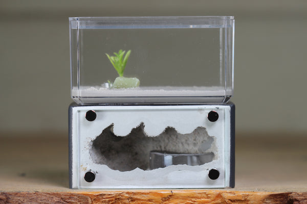 Mini Hearth (Grey 1814)