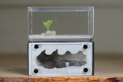 Mini Hearth (Grey 1814)
