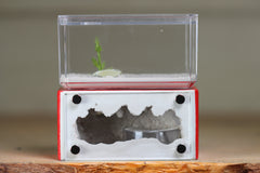 Mini Hearth (Red 1817)