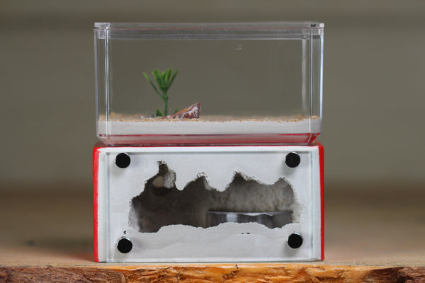 Mini Hearth (Red 1818)