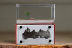 Mini Hearth (Red 1818)