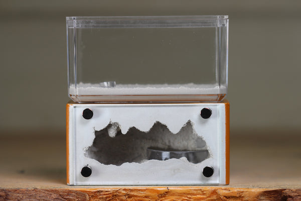 Mini Hearth (Terra 1819)