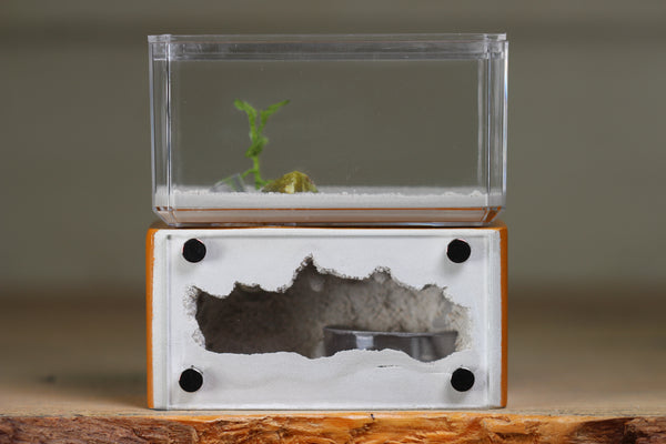Mini Hearth (Terra 1820)