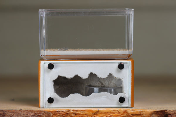 Mini Hearth (Terra 1821)