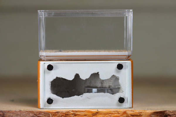 Mini Hearth (Terra 1822)