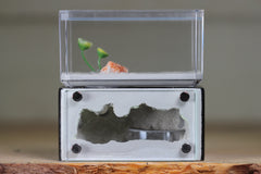 Mini Hearth (Black 1900)(GLOW)