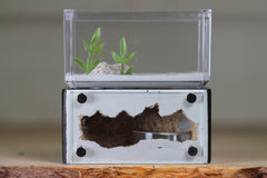 Mini Hearth (Black 1901)