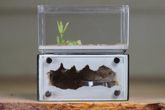 Mini Hearth (Black 1902)