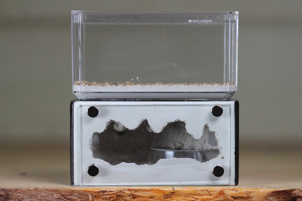 Mini Hearth (Black 1904)