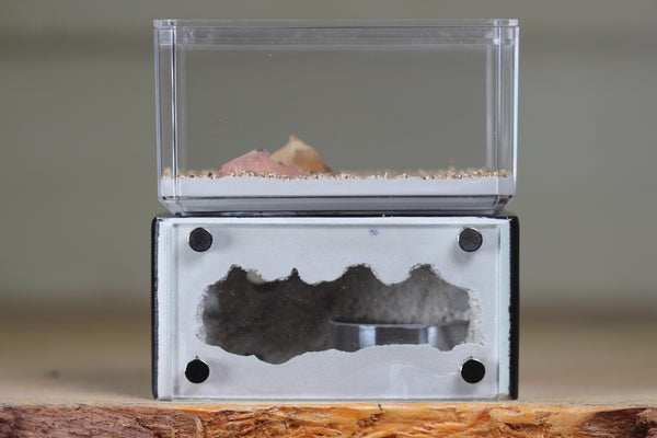 Mini Hearth (Black 1905)