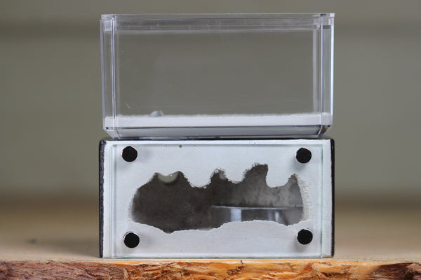 Mini Hearth (Black 1906)