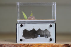 Mini Hearth (Black 1907)