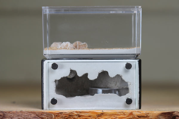 Mini Hearth (Black 1908)